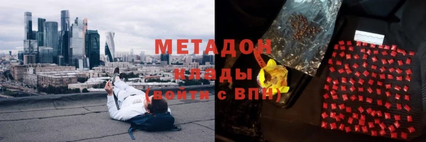 прущие грибы Балахна