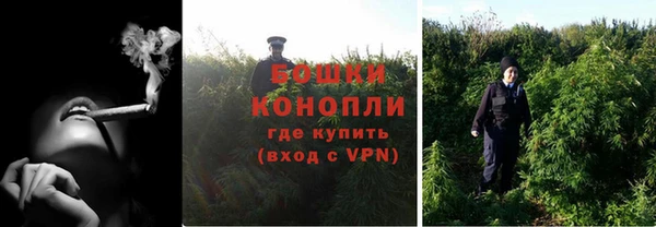 прущие грибы Балахна