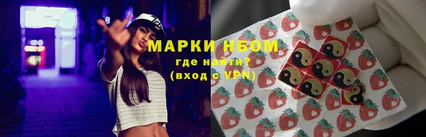 прущие грибы Балахна