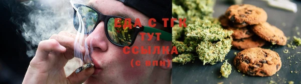 прущие грибы Балахна