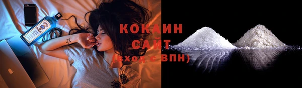 прущие грибы Балахна