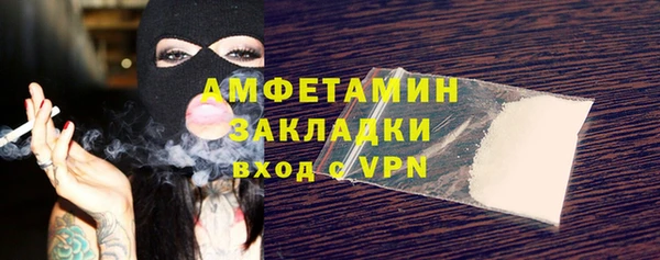 прущие грибы Балахна