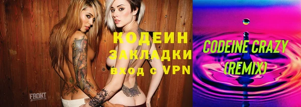 прущие грибы Балахна