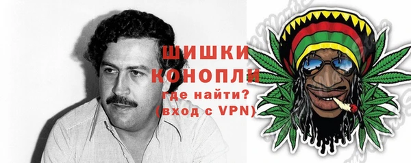 прущие грибы Балахна
