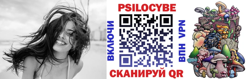 Купить закладки  Сердобск  Галлюциногенные грибы Cubensis 
